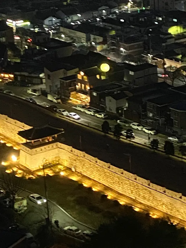 フライング水原(熱気球から世界遺産を見る)
