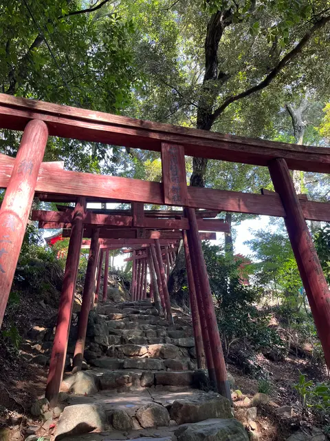 祐徳稲荷神社