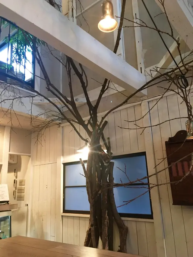 カフェ　オトノヴァ