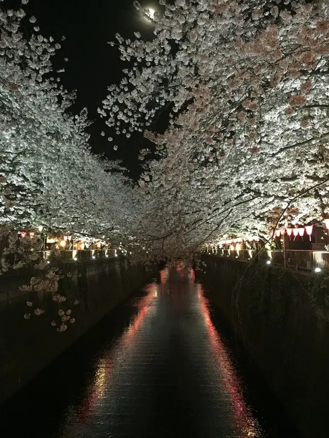 目黒川