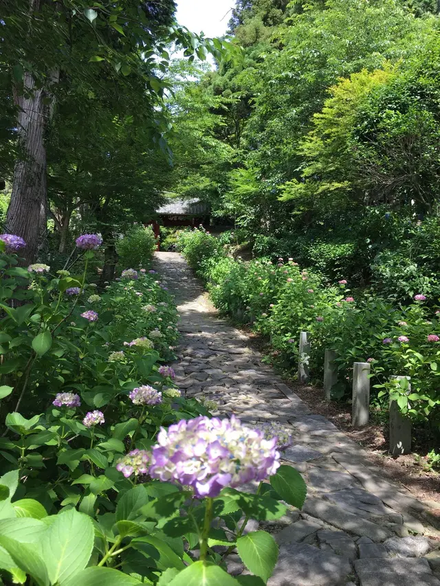 本光寺