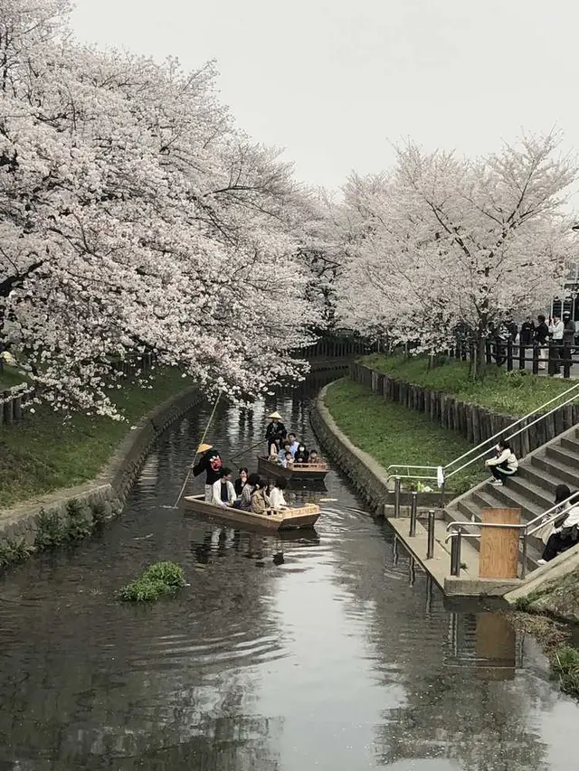小江戸川越春の舟遊