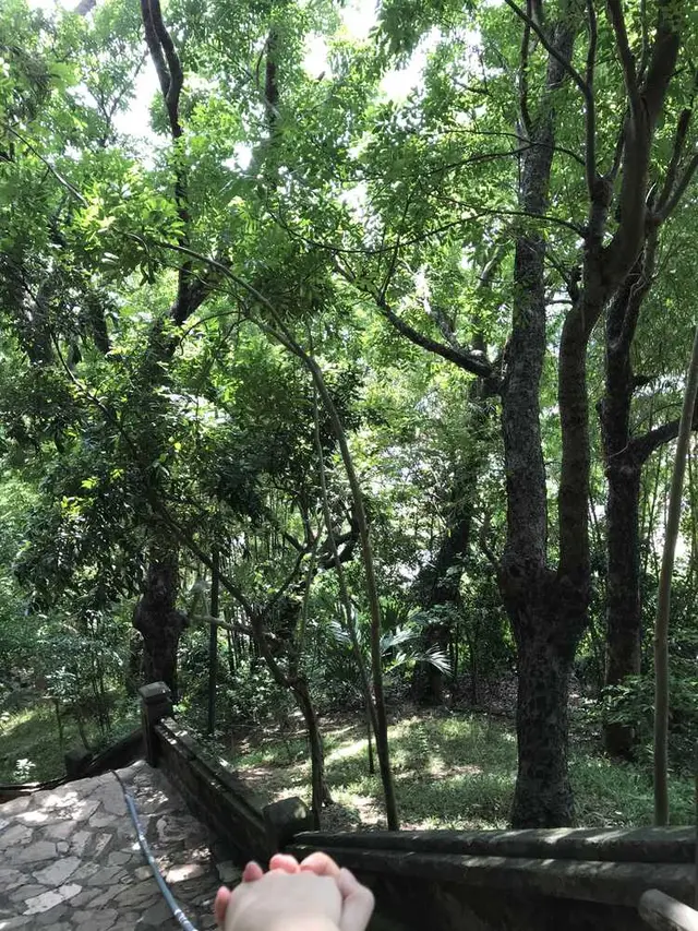 五行山