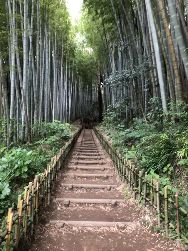ひよどり坂