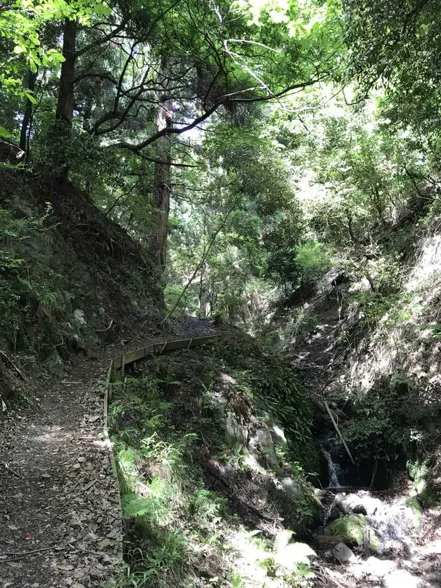 五月山公園