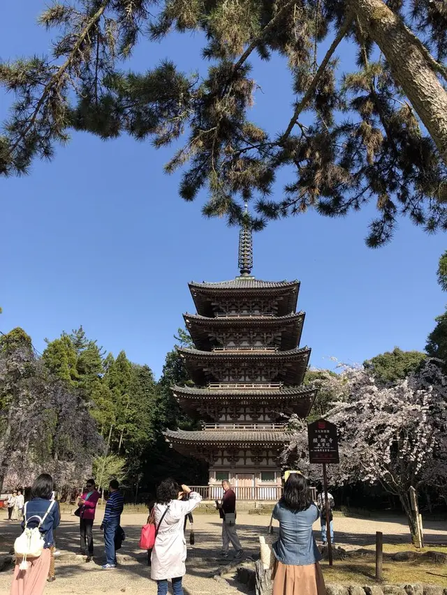 醍醐寺