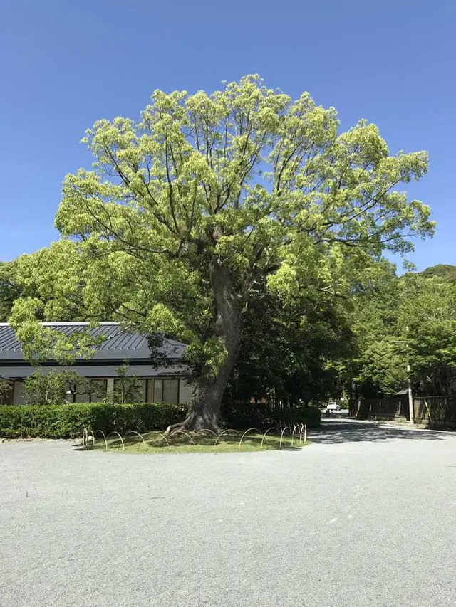 宗像大社