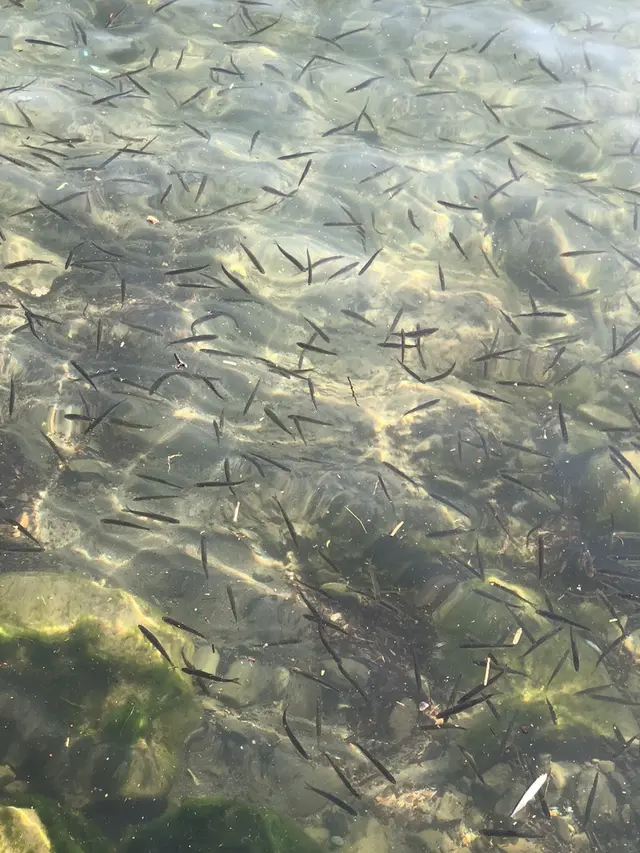 十和田湖