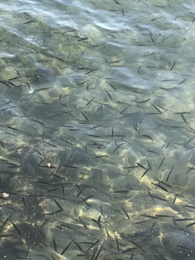 十和田湖