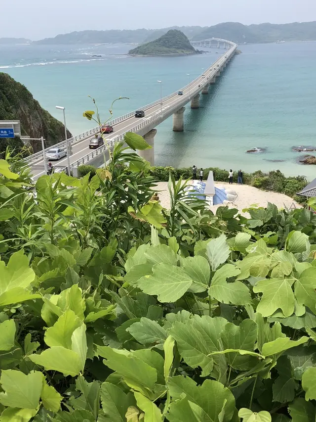 角島