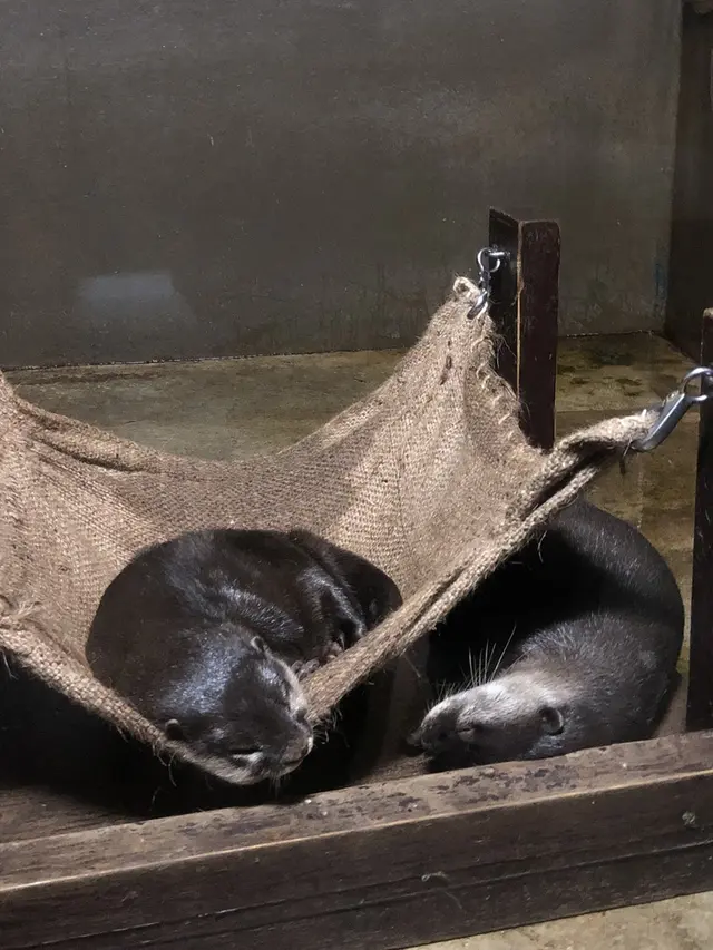 アクア・トトぎふ