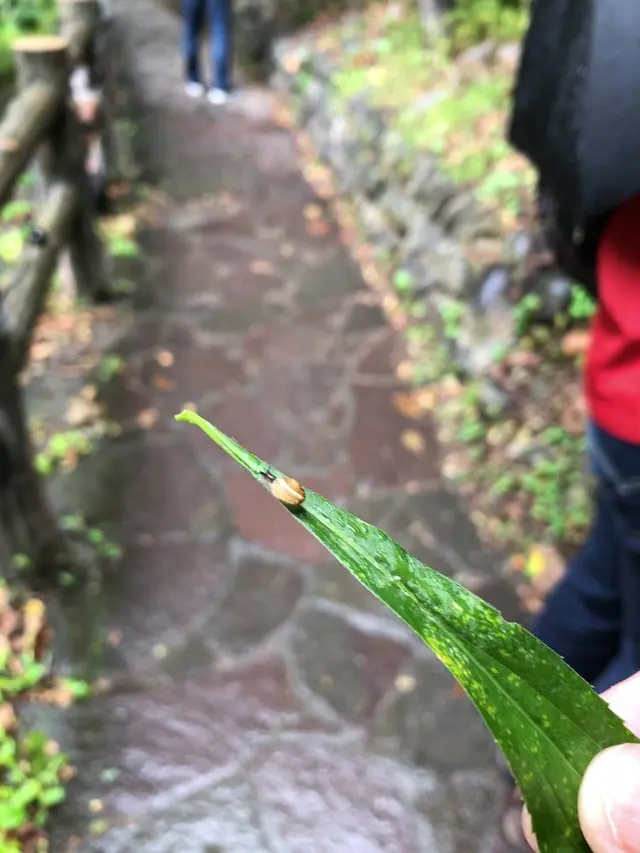 定山渓