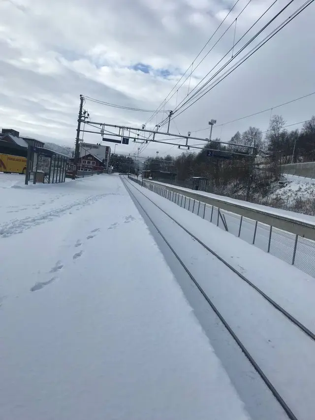 Geilo stasjon