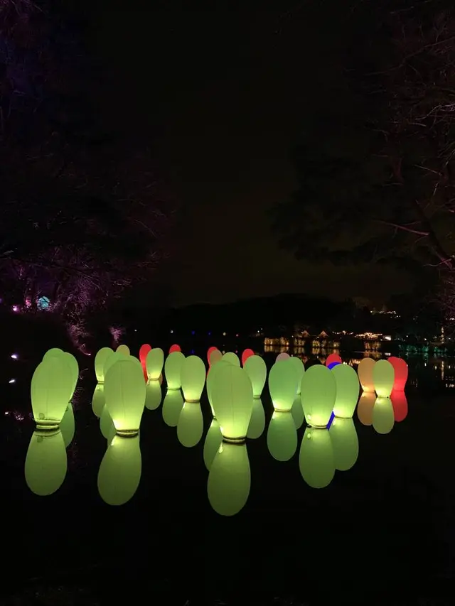 チームラボ  森と湖の光の祭