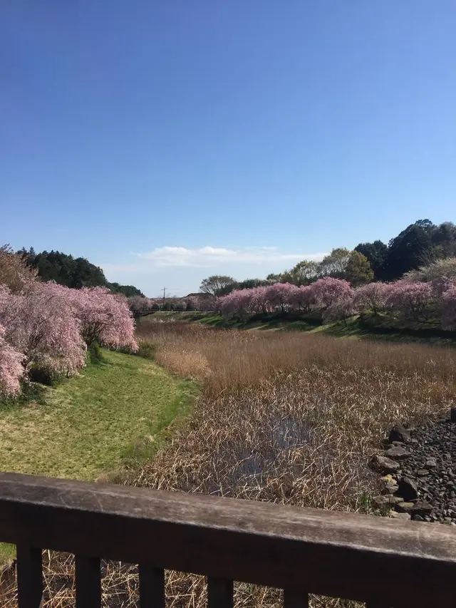 常陸風土記の丘