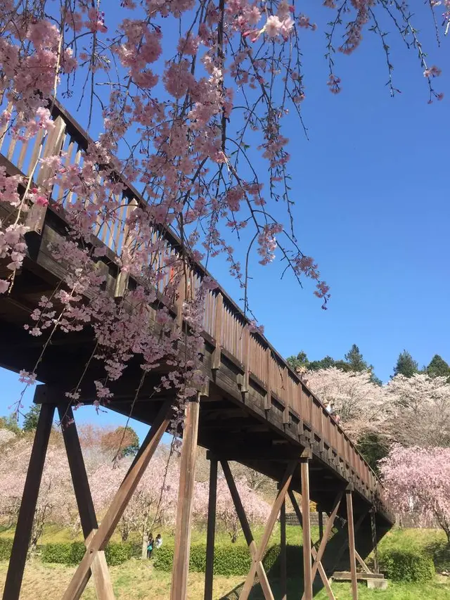 常陸風土記の丘