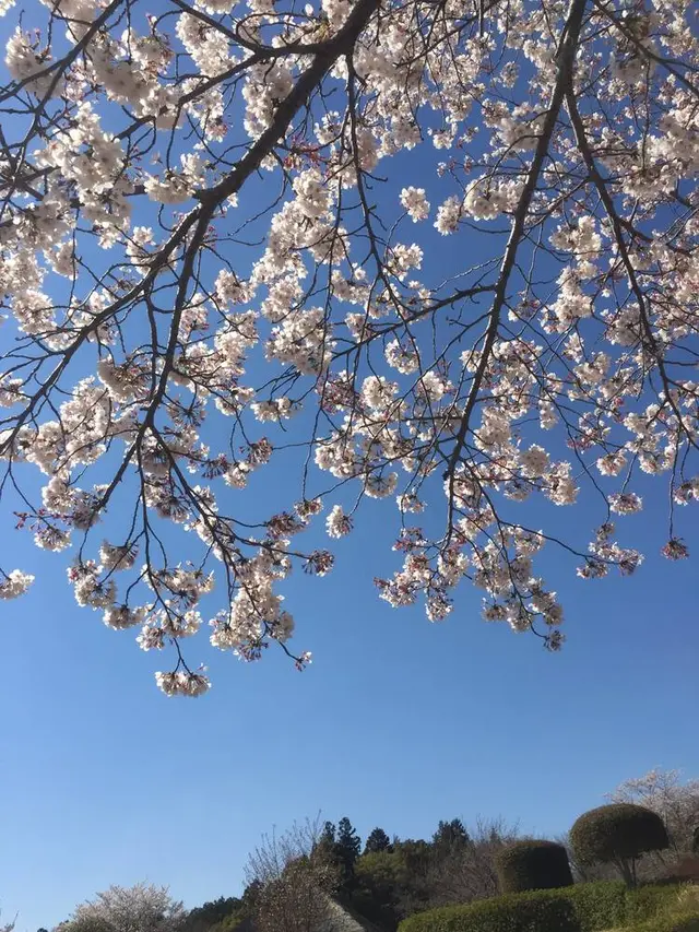 常陸風土記の丘