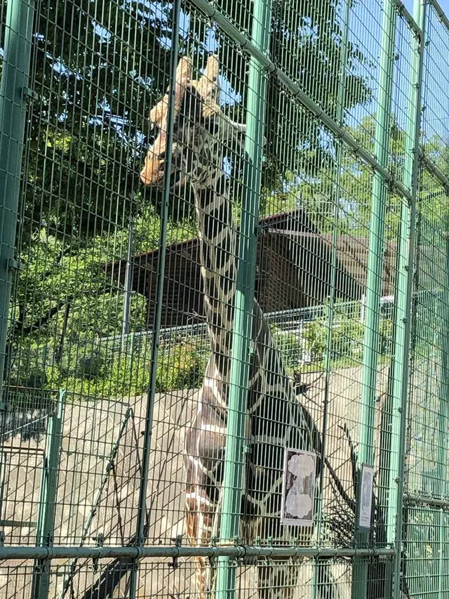 桐生が岡動物園