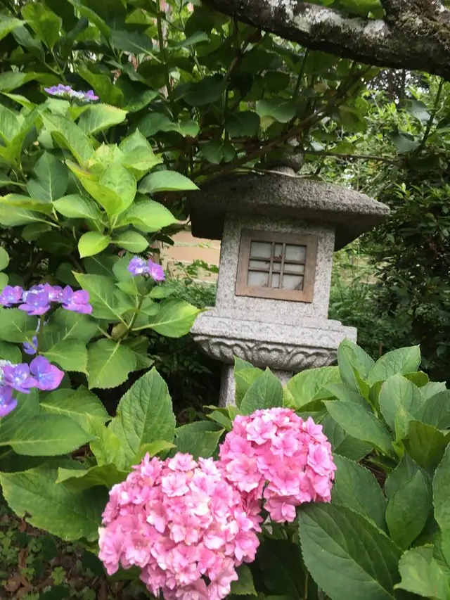 梅宮大社 神苑