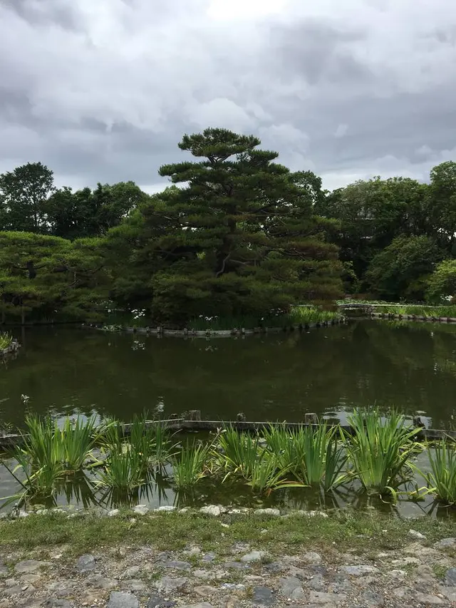 梅宮大社 神苑