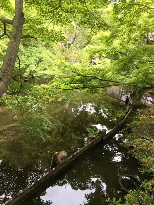 梅宮大社 神苑