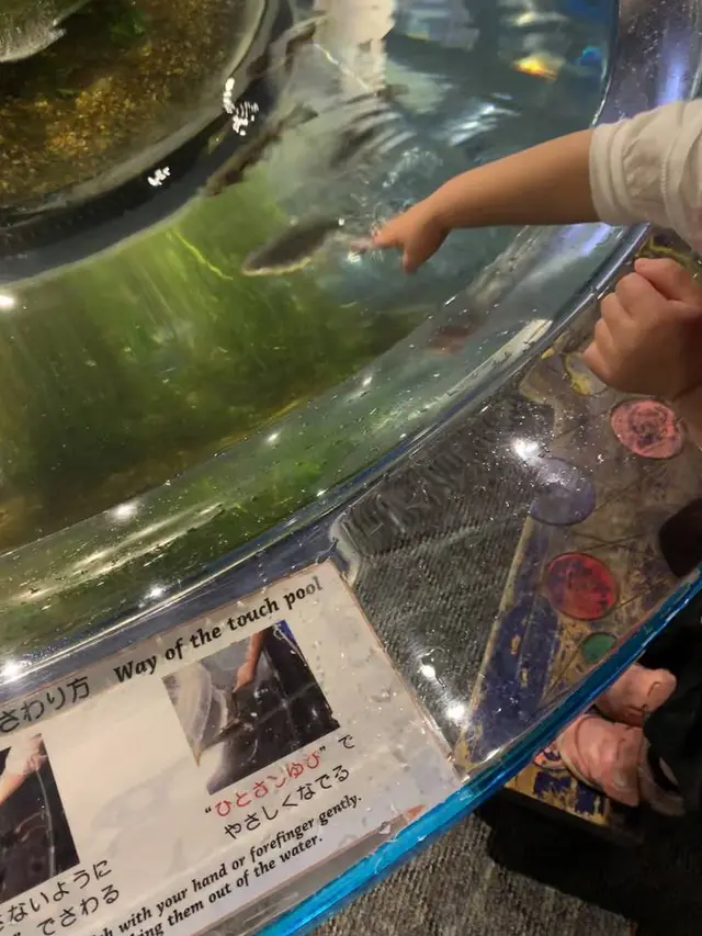 サケのふるさと 千歳水族館