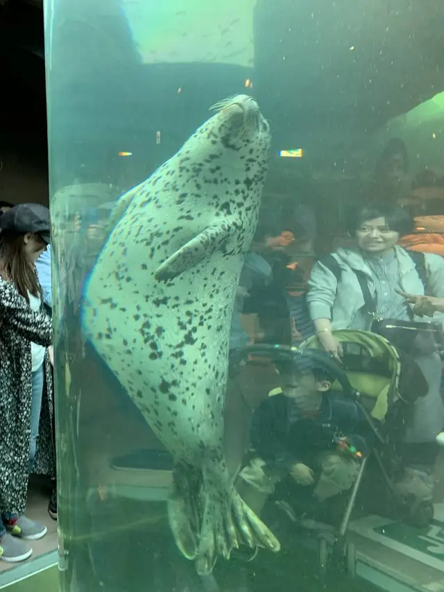旭川市 旭山動物園