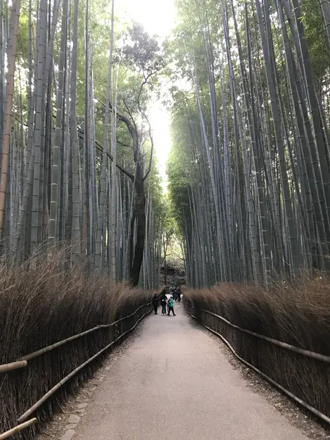 京都