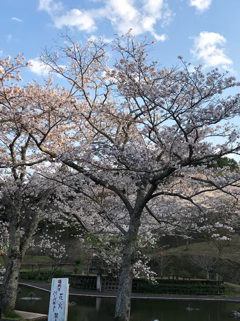 吉四六ランド