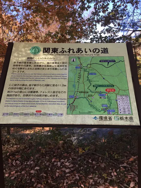益子県立自然公園 益子の森