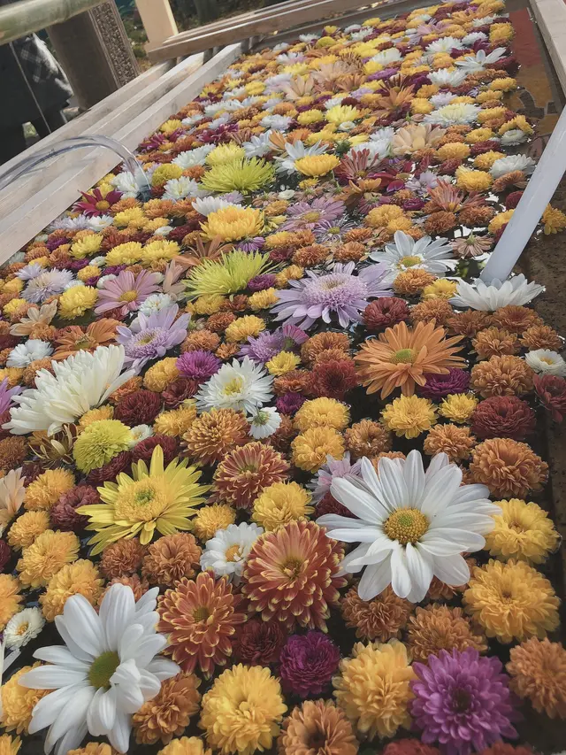 笠間稲荷神社