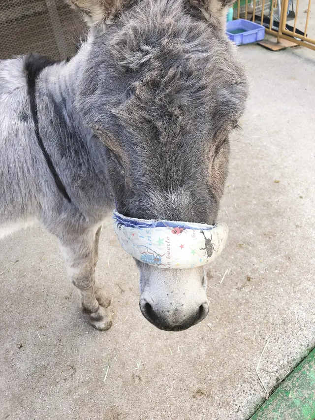 池田動物園