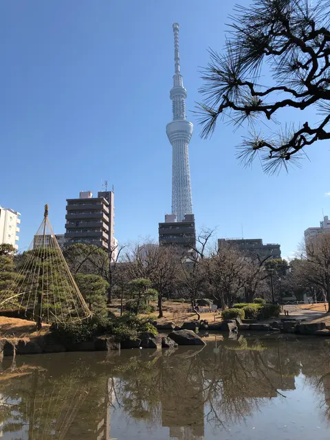 隅田公園