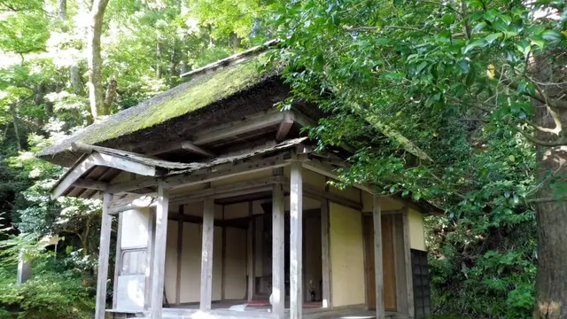 『炎上供養』の国上寺と新潟県ゆかりの人物を巡る歴史たび