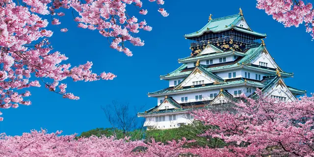 桜🌸の咲く城下町の旅