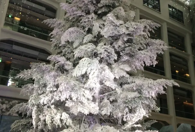 東京の大きなクリスマスツリーを見に行く