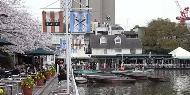 【飯田橋～神楽坂】春のお散歩コースを提案します♪