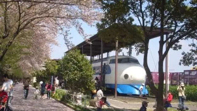 鉄道ファン必見！満開の桜と一緒に記念撮影しよう！