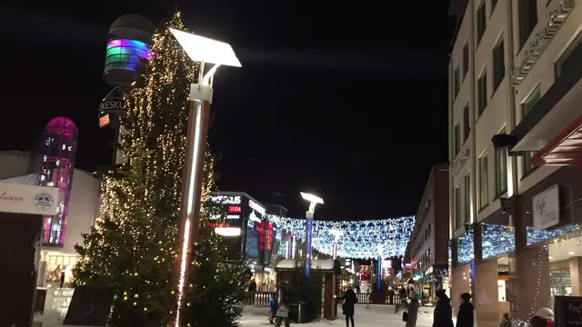 フィンランドで本場クリスマスムード満喫 ロヴァニエミ＆ヘルシンキ4泊6日