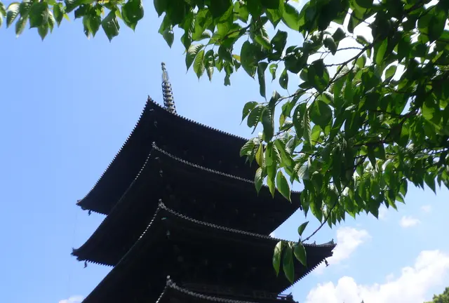 京都、東寺で楽しいお参りを…！