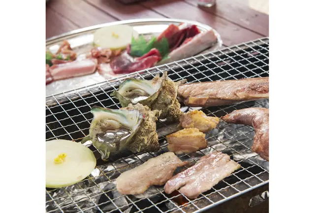 🐟みさきまぐろきっぷで楽しむ休日サイクリング