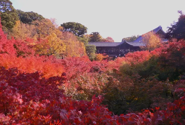 狭～く深～く♪紅葉を楽しむ京都、東福寺