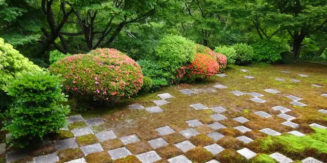 京都、東福寺ＰＡＲＴ２　心癒される苔の庭へ…！