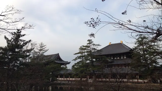元旦は奈良で！スペシャルな初詣プラン♪