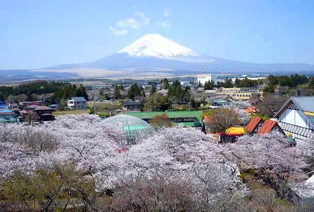 日本一(!?)富士山の絶景を堪能できるリゾート施設♪
