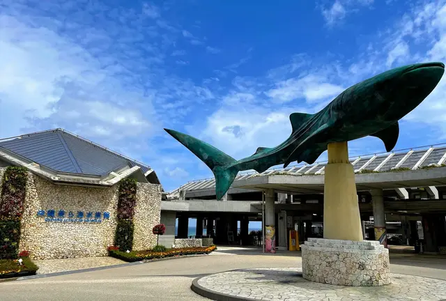 沖縄🌺水族館！北部の美ら海・南部のかりゆしを比較してみました🐬（周辺グルメ情報あり！）