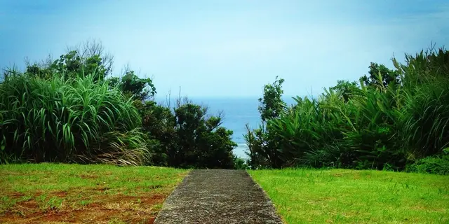 「東洋のガラパゴス」奄美大島の海めぐり