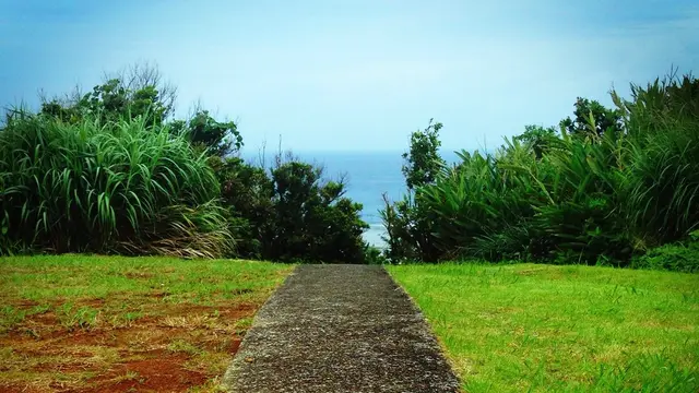 「東洋のガラパゴス」奄美大島の海めぐり