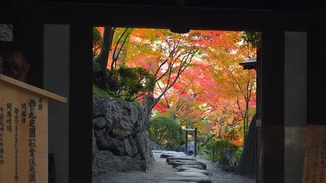 秋の和歌山城と「和」を楽しむ１日
