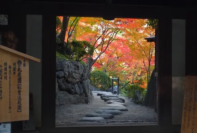 秋の和歌山城と「和」を楽しむ１日